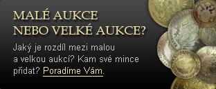 Průvodce – malá/velká aukce